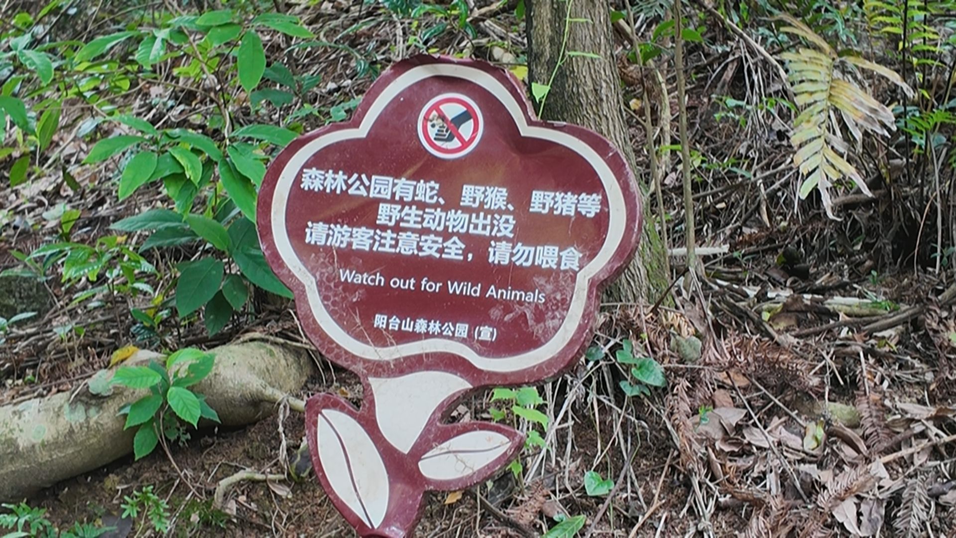 已在园区入口及沿途设置了相应的安全警示牌,提醒游客注意蛇虫和野生