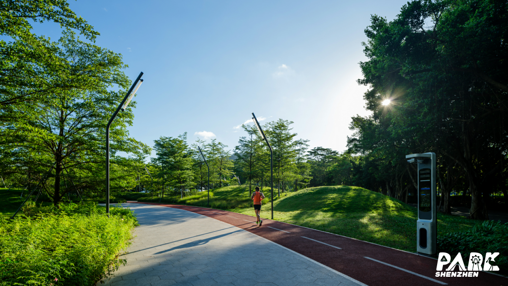 台湾网红馆长又把深圳夸爆了